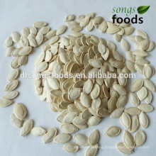 Buy New Crop shineskin pumpkin Seeds